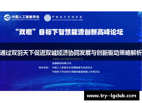 通过双羽天下促进双城经济协同发展与创新驱动策略解析